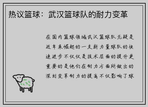 热议篮球：武汉篮球队的耐力变革