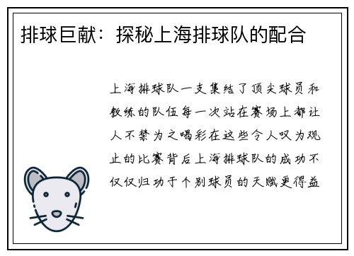 排球巨献：探秘上海排球队的配合