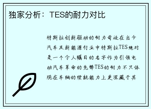 独家分析：TES的耐力对比