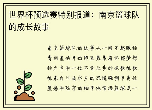 世界杯预选赛特别报道：南京篮球队的成长故事